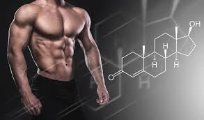TESTOSTERONE BOOSTER 39 Ingredients 1.35kg