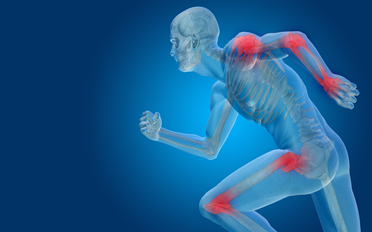 JOINTS & BONES SUPPORT STACK 53 Ingredients 1.71kg